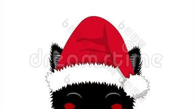 黑猫和圣诞帽<strong>偷吃</strong>。 圣诞贺卡。